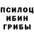 Галлюциногенные грибы мухоморы Kostyan Borsyk