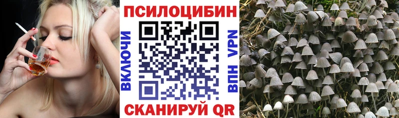закладка  Ряжск  Псилоцибиновые грибы GOLDEN TEACHER 